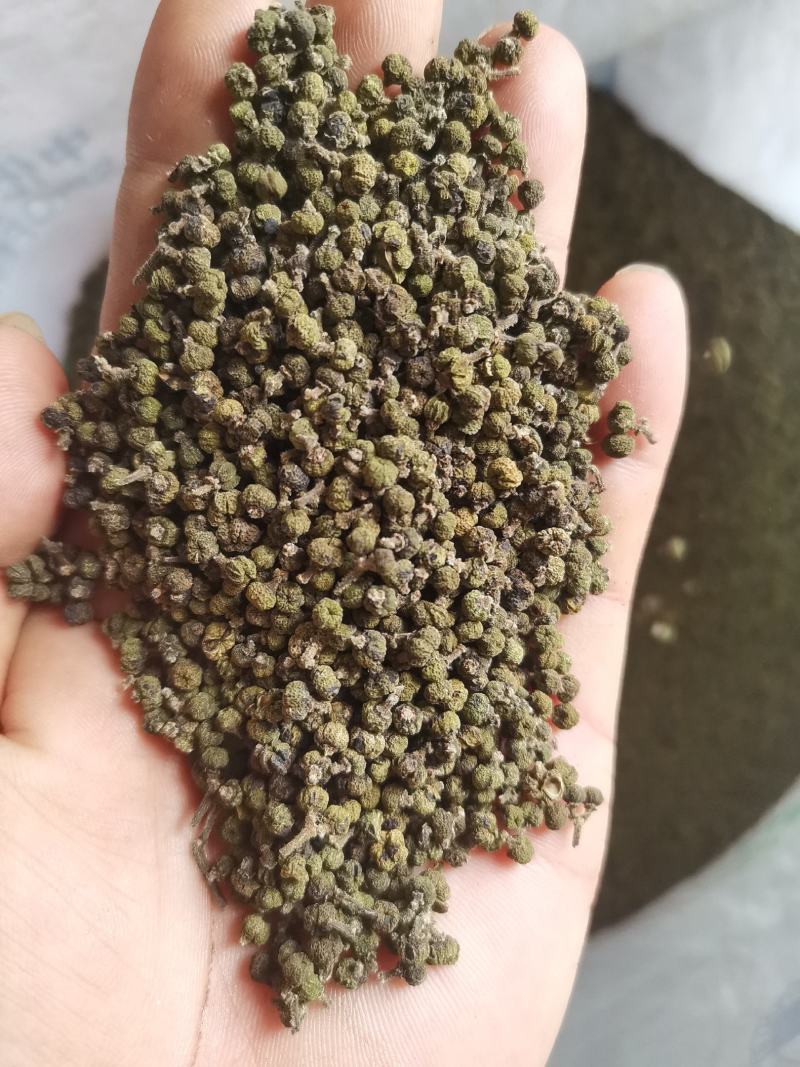 吴茱萸江西中花统广西中花统无杂质