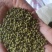 吴茱萸江西中花统广西中花统无杂质