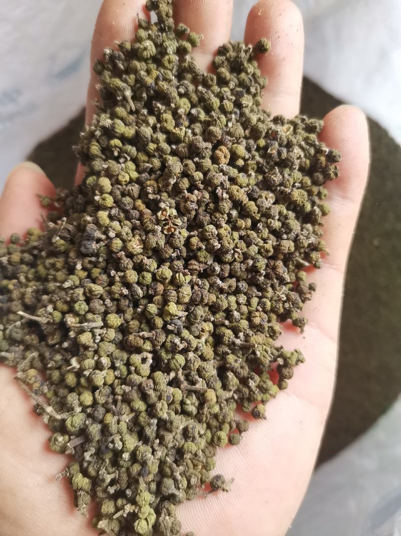 吴茱萸江西中花统广西中花统无杂质
