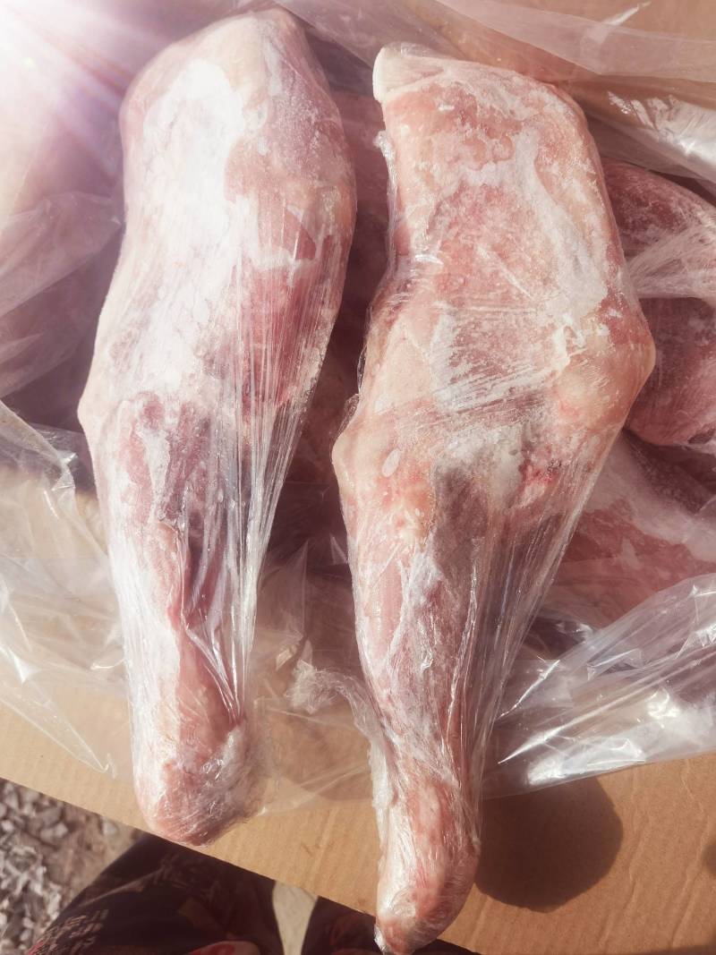 【荐】精品内蒙古羔羊前腿，货源充足，欢迎客商来选购