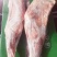 【荐】精品内蒙古羔羊前腿，货源充足，欢迎客商来选购