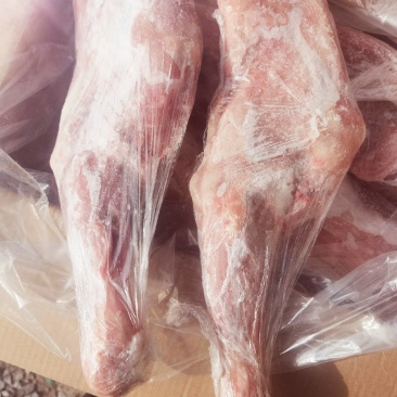 【荐】精品内蒙古羔羊前腿，货源充足，欢迎客商来选购