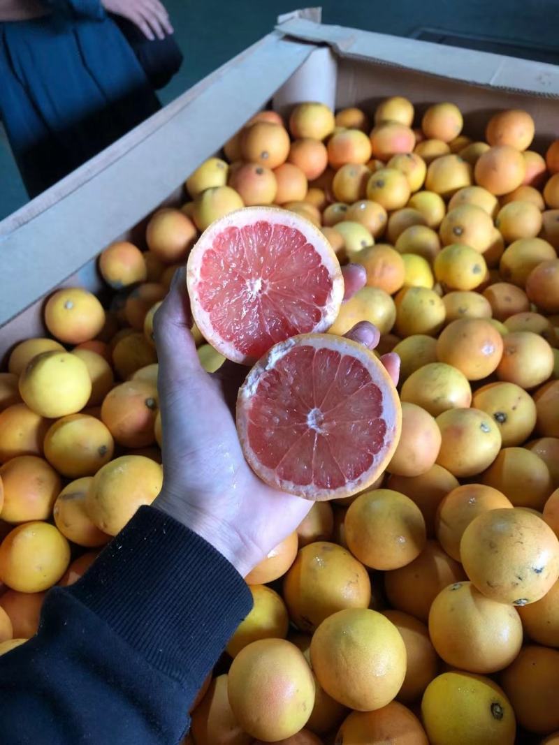 南非西柚散装筐装桶装西柚2级小果