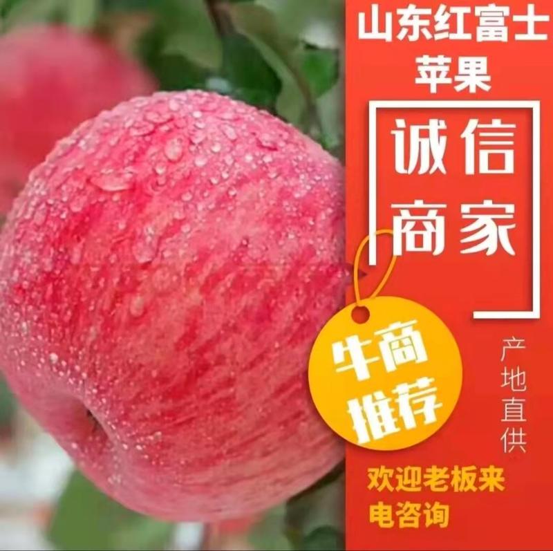 【苹果】山东精品红富士苹果脆甜多汁产地直销一手货源