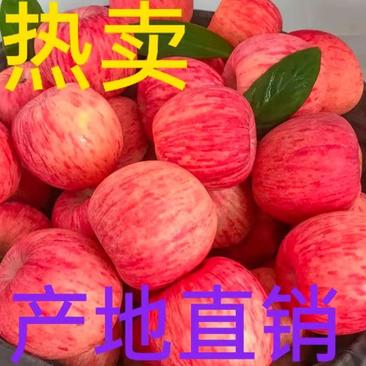 【苹果】山东精品红富士苹果脆甜多汁产地直销一手货源
