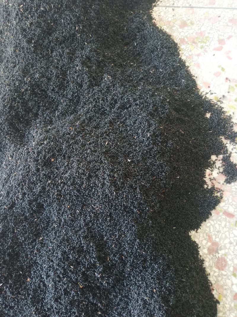 黑蚂蚁，广东野生黑蚂蚁，货量充足，干净，干度好。