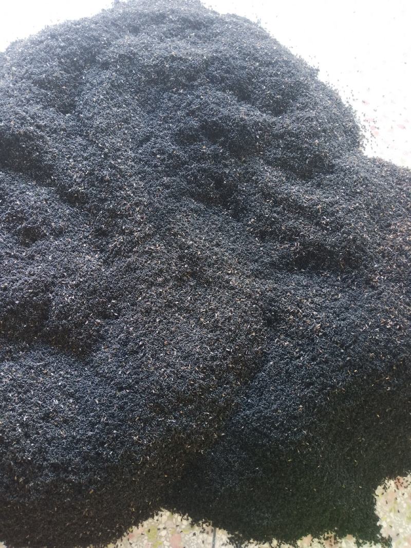 黑蚂蚁，广东野生黑蚂蚁，货量充足，干净，干度好。