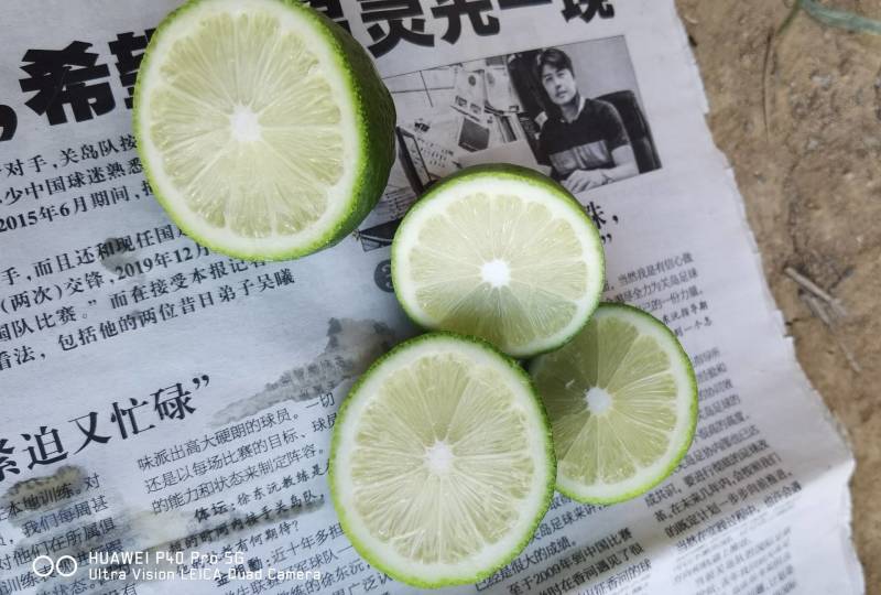 二级广东香水柠檬无籽，产地直发，货源稳定，靓绿果香