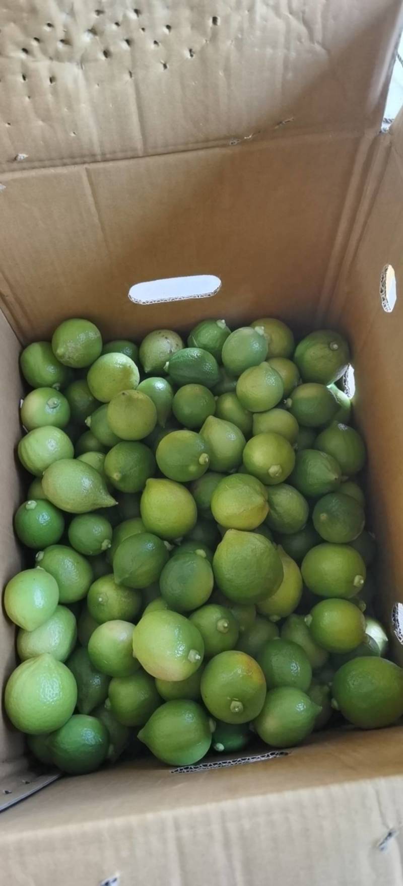 二级广东香水柠檬无籽，产地直发，货源稳定，靓绿果香