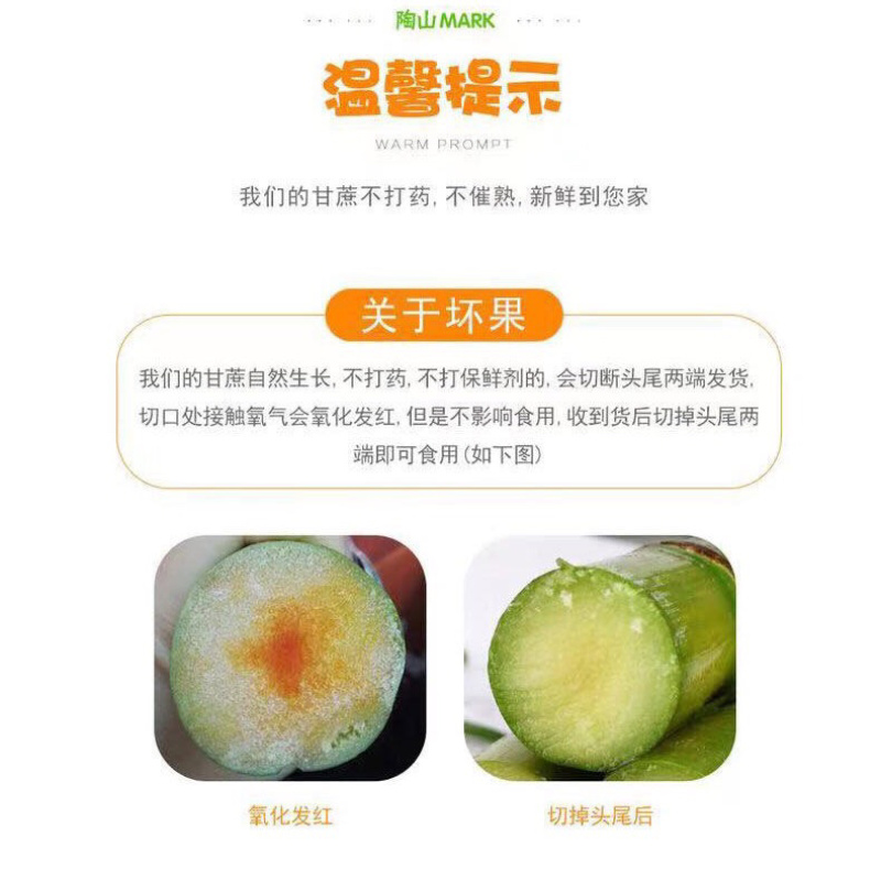 陶山甘蔗陶山果蔗自产自销青皮甘蔗温州正宗陶山甘蔗