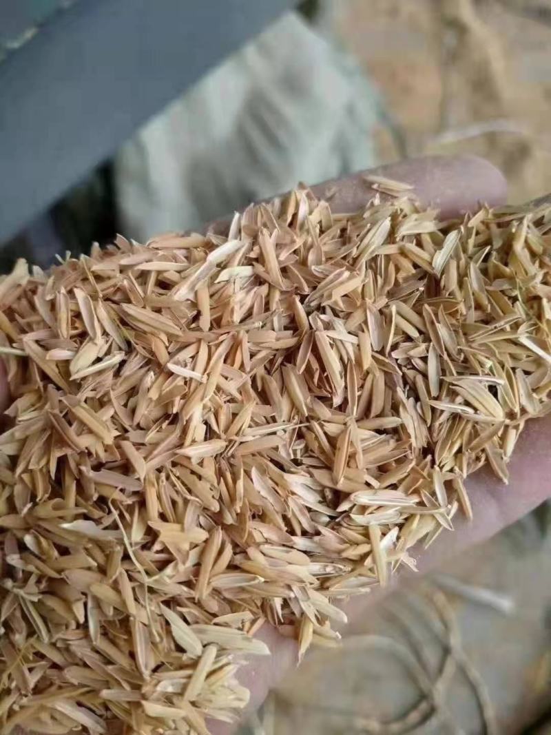 稻壳，打包除尘过筛壳，除尘压缩稻壳，养殖种植全国发货
