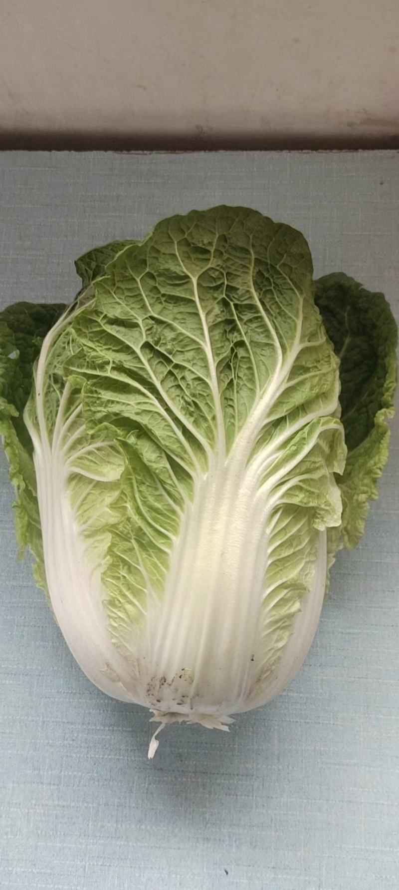 娃娃菜（白菜）毛货，净菜