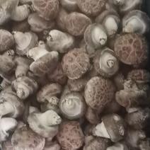花菇香菇白菇5-7花菇3-5小花菇规格定制
