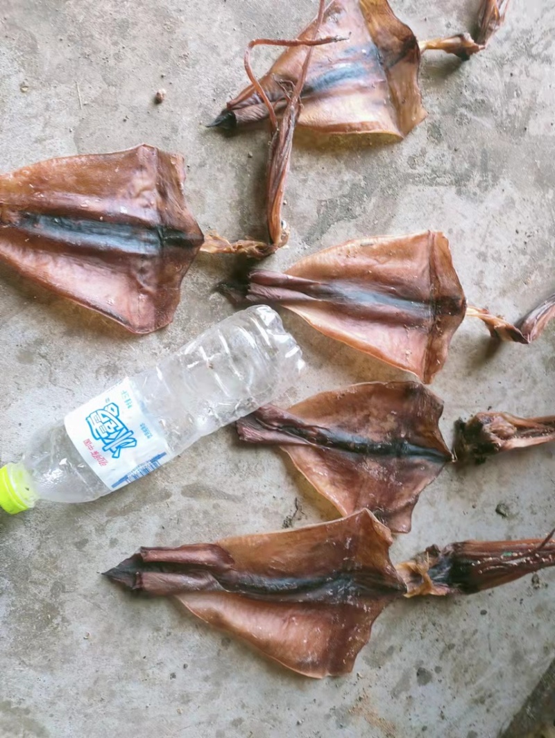 干鱿鱼，高品质，高水发量，鱿鱼花，片，头尾巴，11111