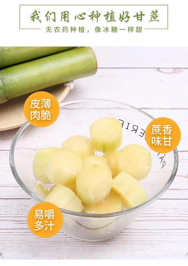 陶山甘蔗青皮甘蔗手撕甘蔗礼品盒包装整捆可批发