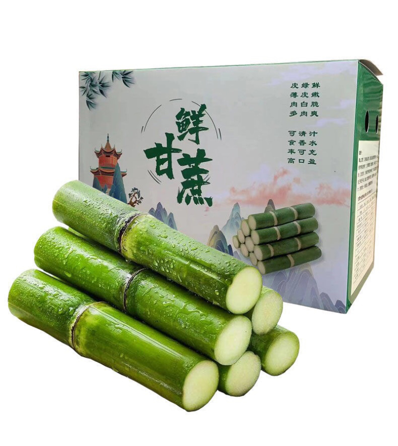 陶山甘蔗青皮甘蔗手撕甘蔗礼品盒包装整捆可批发