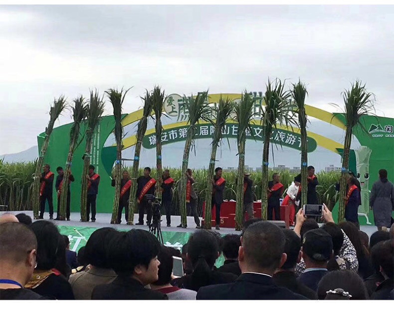 陶山甘蔗青皮甘蔗手撕甘蔗礼品盒包装整捆可批发