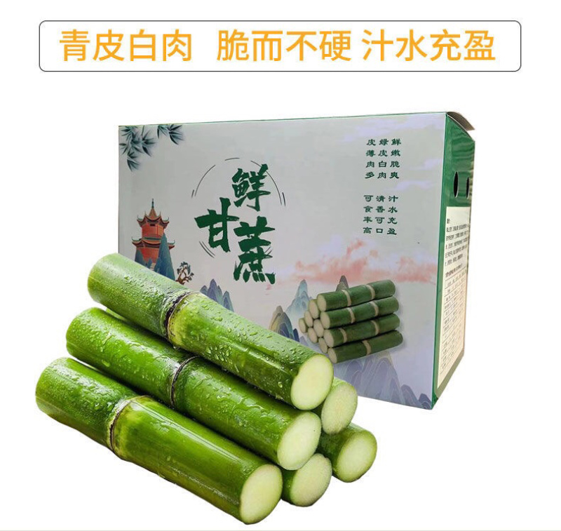 陶山甘蔗青皮甘蔗手撕甘蔗礼品盒包装整捆可批发