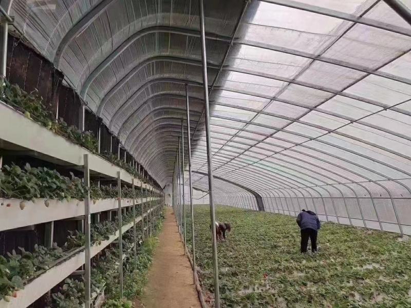 各种大棚，蔬菜棚，养殖棚，农光互补大棚，阴阳棚