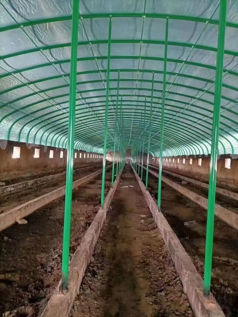 各种大棚，蔬菜棚，养殖棚，农光互补大棚，阴阳棚