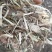 花生秧，牛羊最爱吃的草料