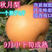 【超实惠】梨树苗新品种秋月梨皇冠翠冠早酥红梨包成活