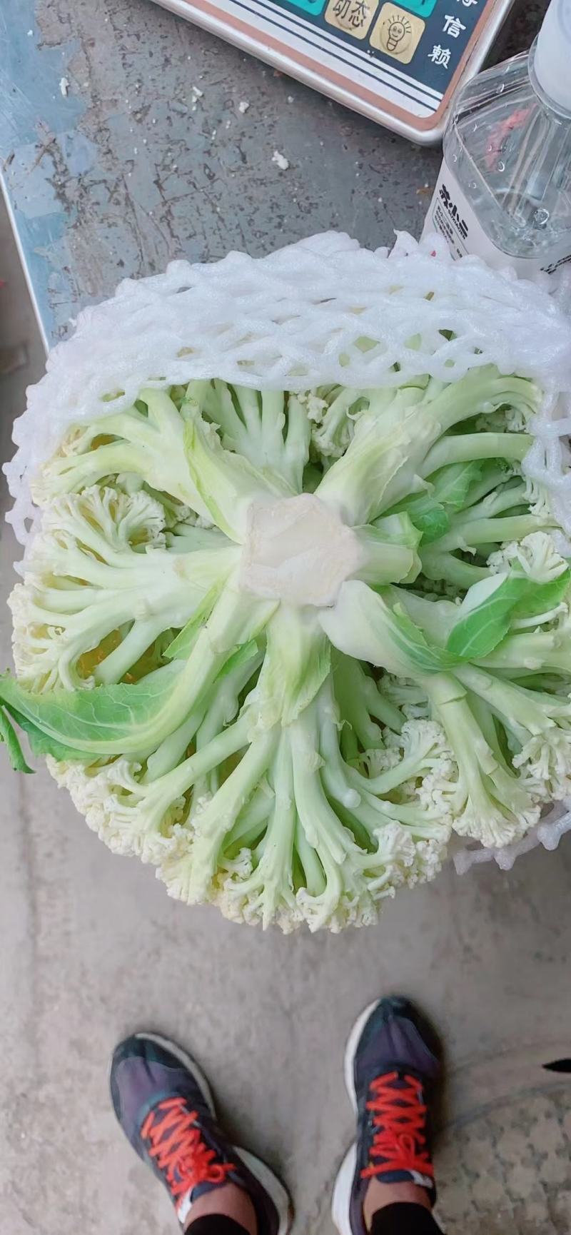 精品有机花菜大量供货，商超，市场对接，视频看货，需要联