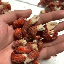 龙虾尾