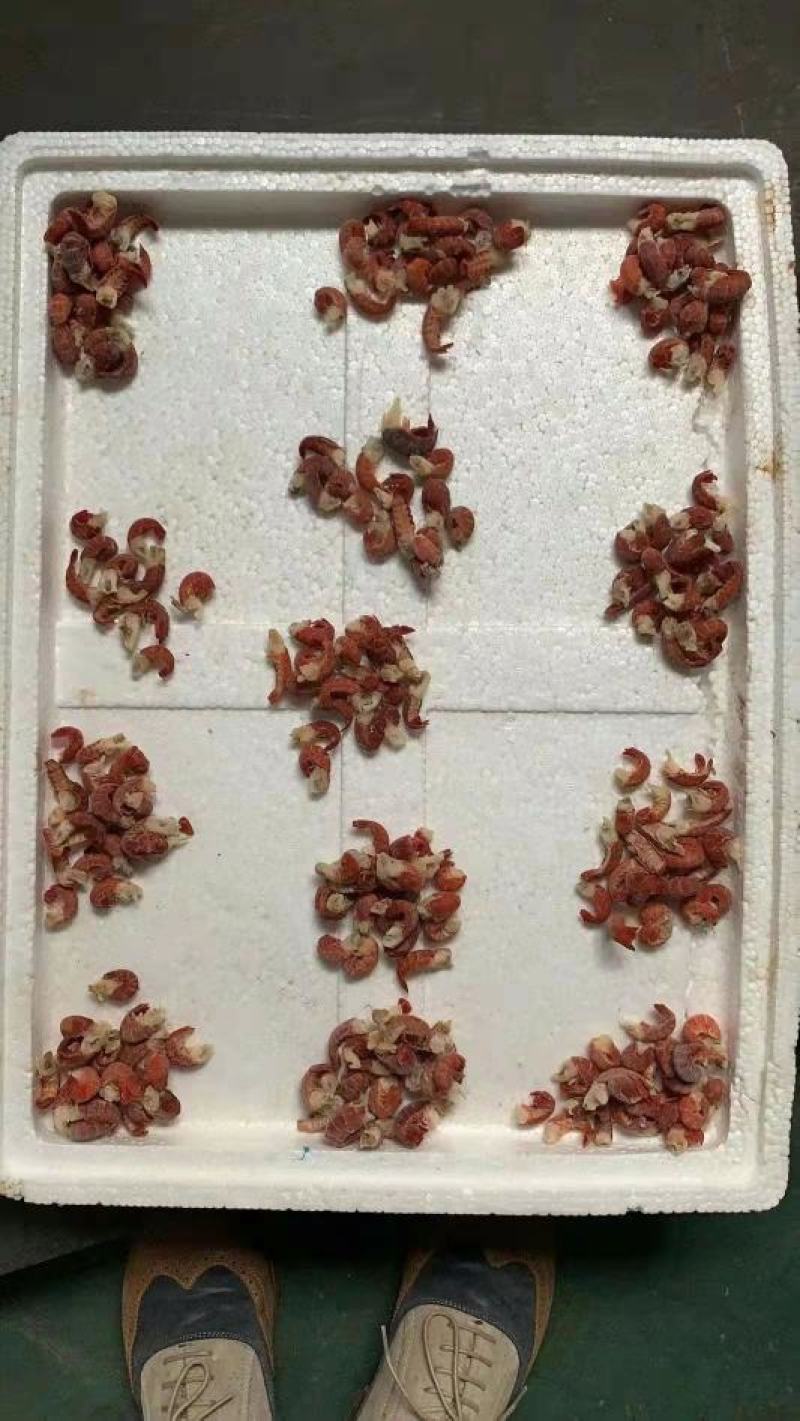 龙虾尾