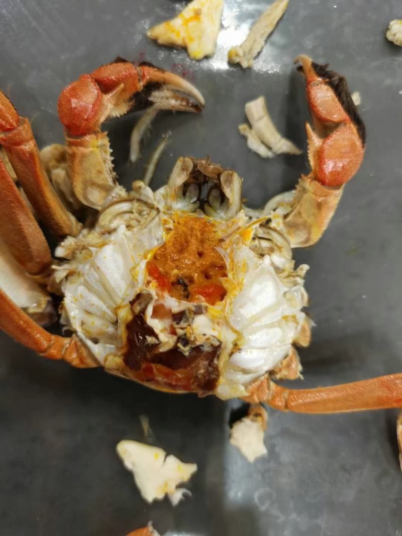 大闸蟹