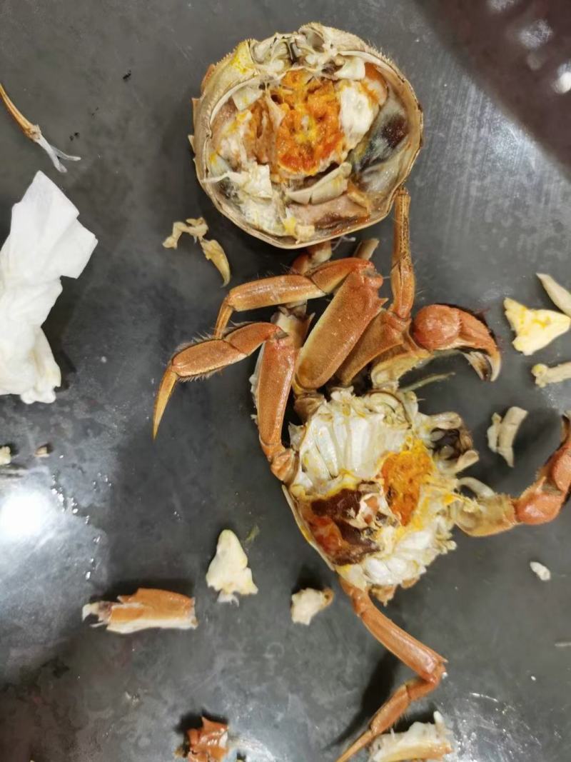 大闸蟹