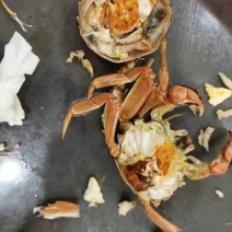 大闸蟹