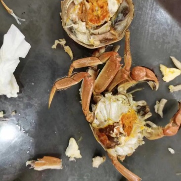 大闸蟹