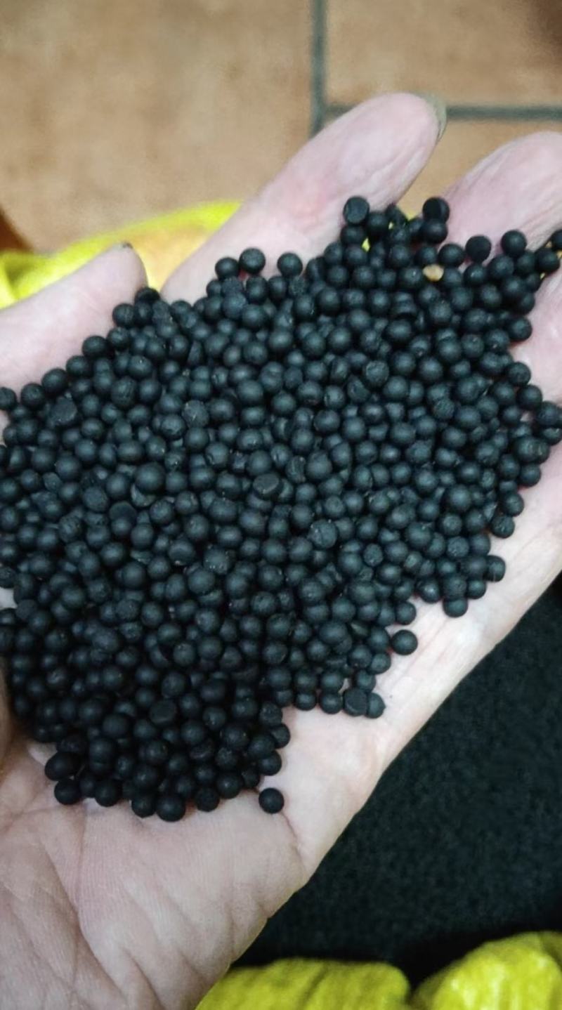 文竹种子花种种籽花籽花卉花草盆栽植物四季播易种室内