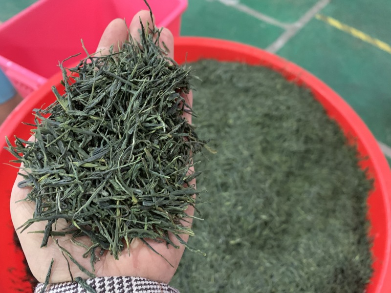 湖北恩施富硒绿茶恩施玉露