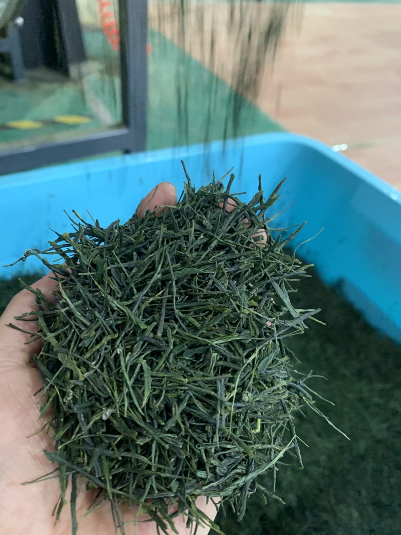 湖北恩施富硒绿茶恩施玉露