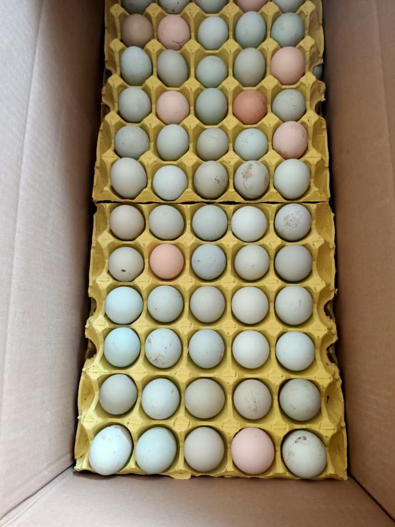 绿壳鸡蛋一件代发，纯散养