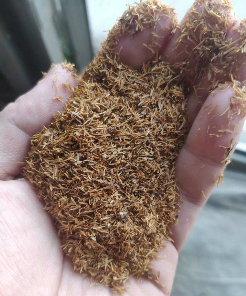 绣线菊种子优质林木种子又名珍珠梅种子马尿骚花种子景观花