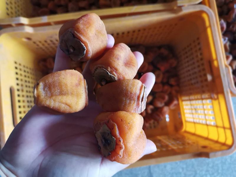 广西柿饼吊饼，柿饼广西大量上市有货圆饼柿饼吊饼辣椒柿饼