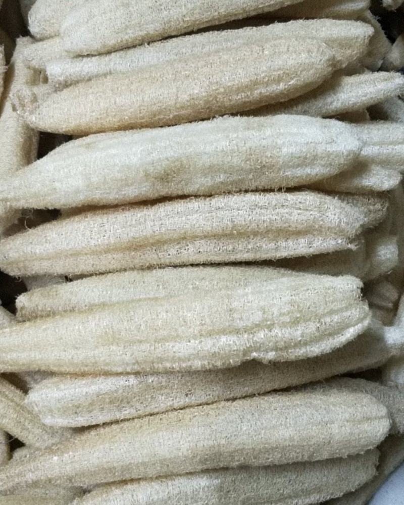 天然丝瓜络洗碗神器丝瓜瓤洗碗布水瓜渣厨房家用水瓜布百洁布