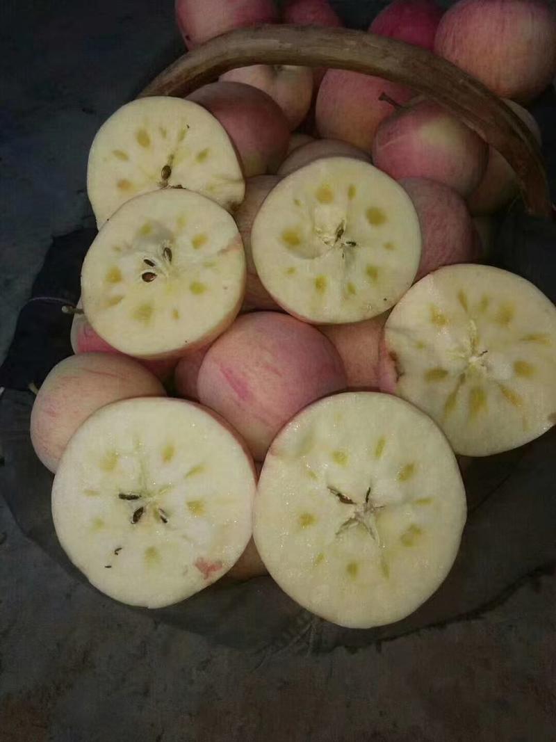 新疆阿克苏冰糖心红富士苹果