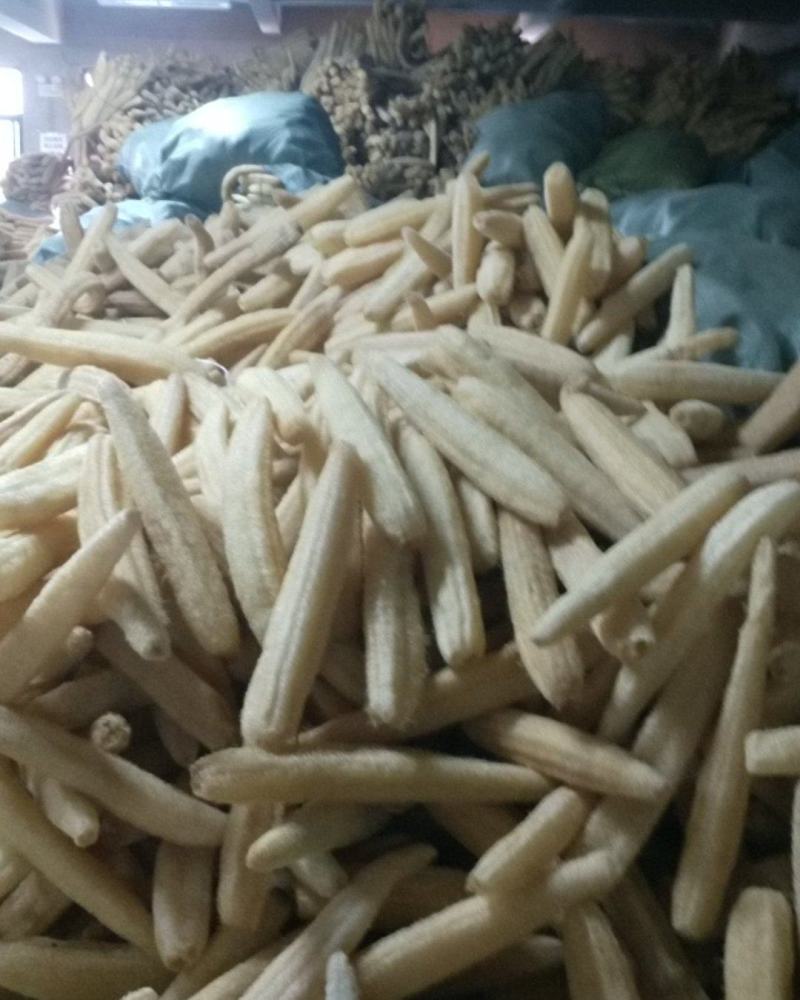 天然丝瓜络洗碗神器丝瓜瓤洗碗布水瓜渣厨房家用水瓜布百洁布