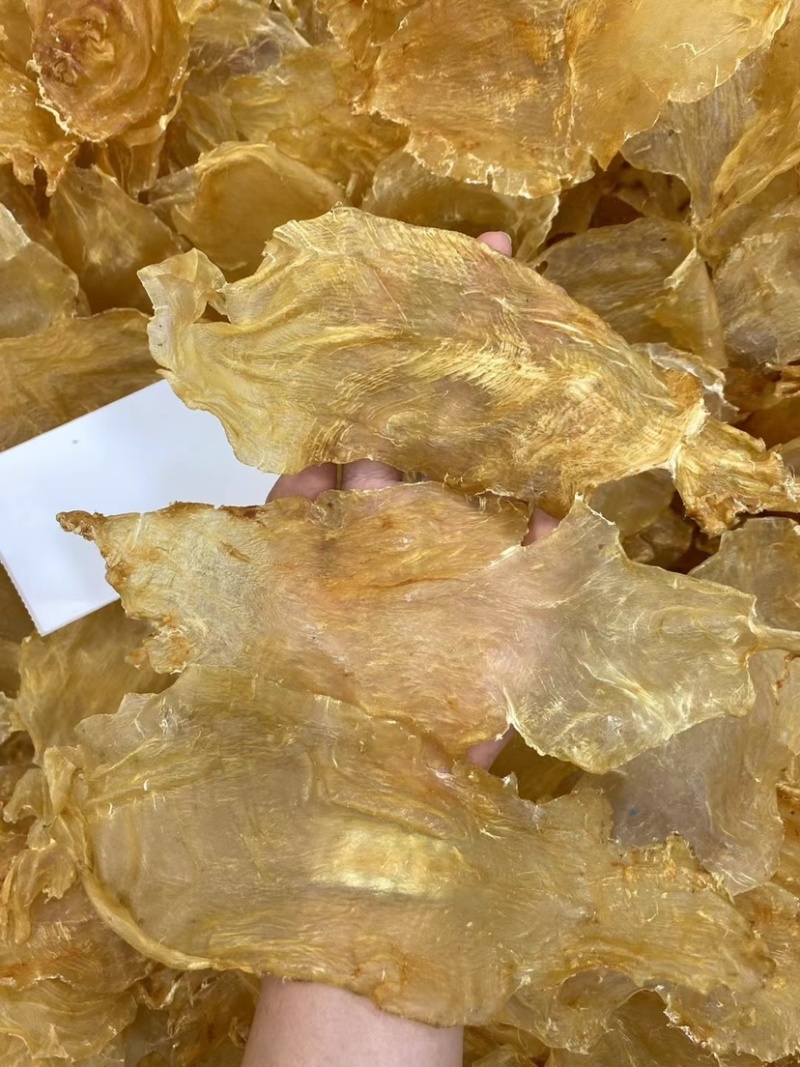鱼胶顺风肚顺风胶马友鱼胶午鱼胶孕妇月子滋补花胶不腥厚肉养胃
