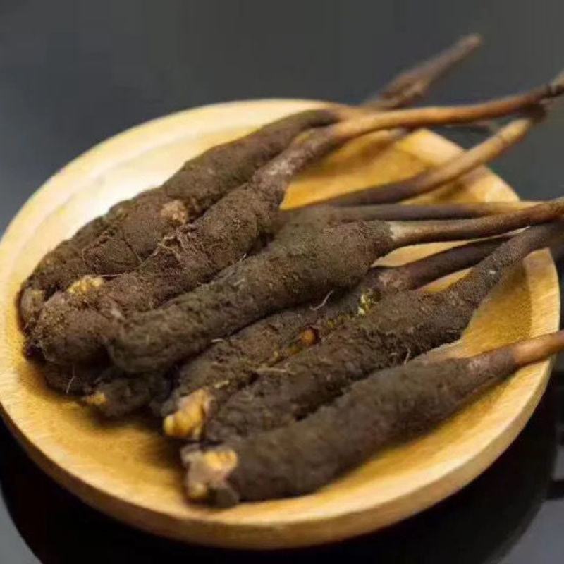 (鲜)现挖野生虫草