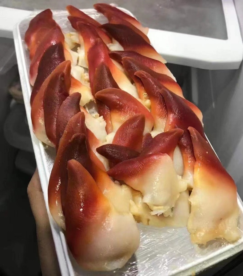北极贝