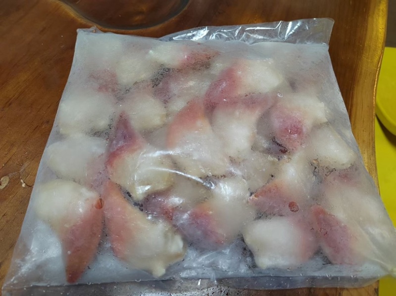 北极贝