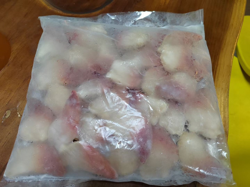 北极贝