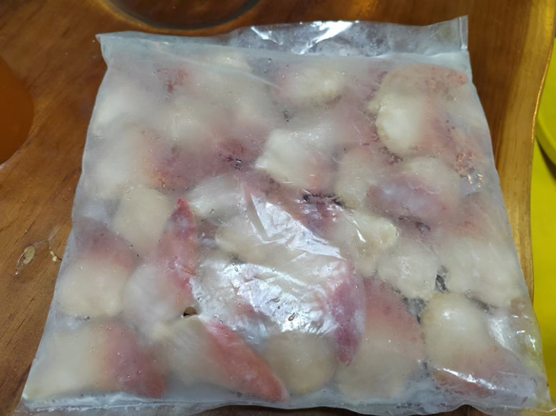 北极贝