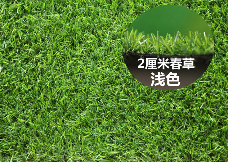 进口四季青草坪庭院工程绿化道路旁耐践踏草籽四季常青