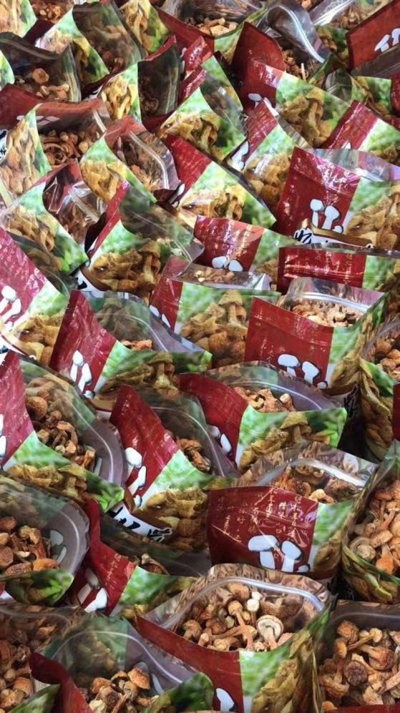 姬松茸支持一件代发香味浓郁清炒炖汤都是不错的选择